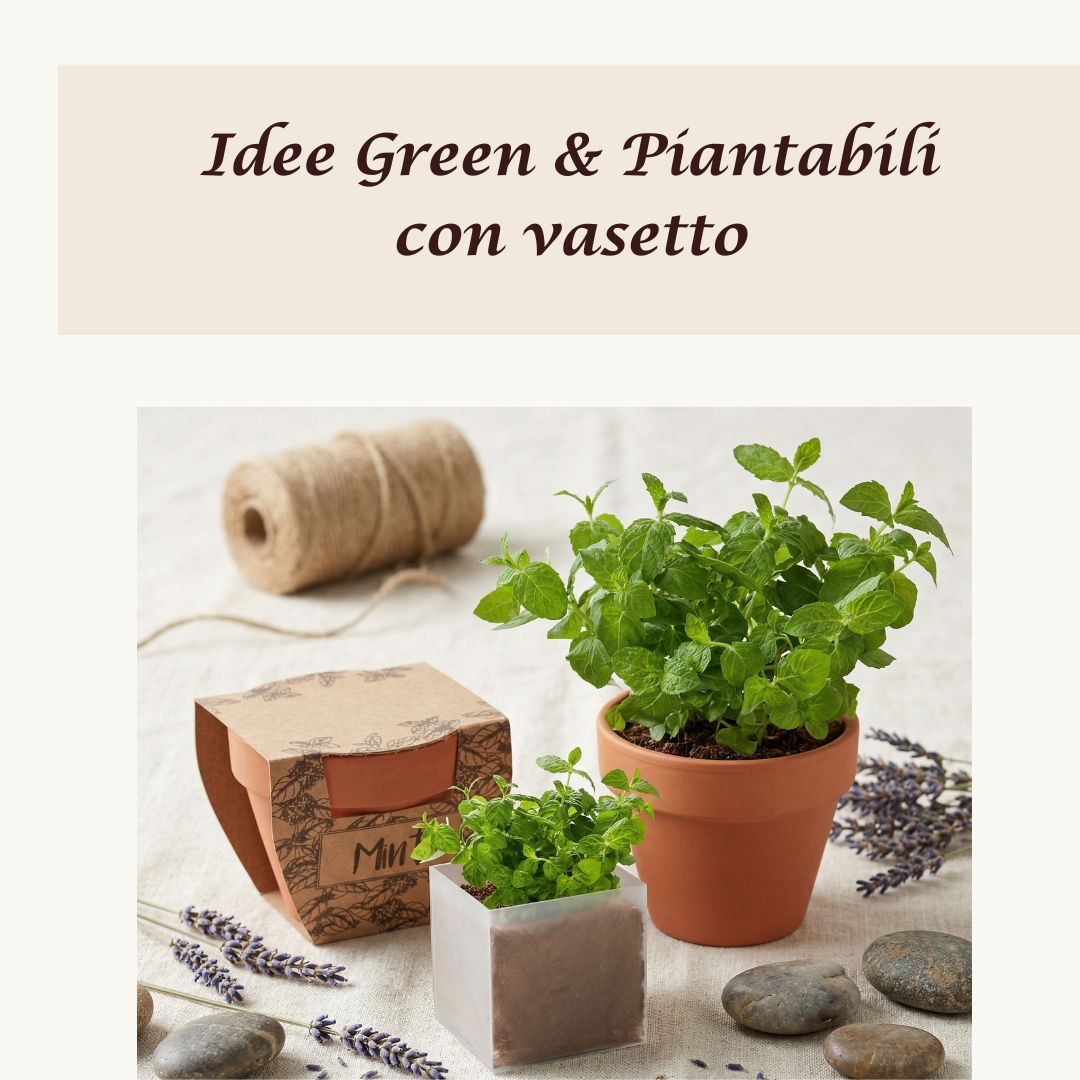 Collezione Bomboniere Senza Pensieri - Deluxe