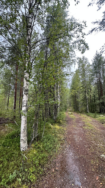 IMG 4865.jpg