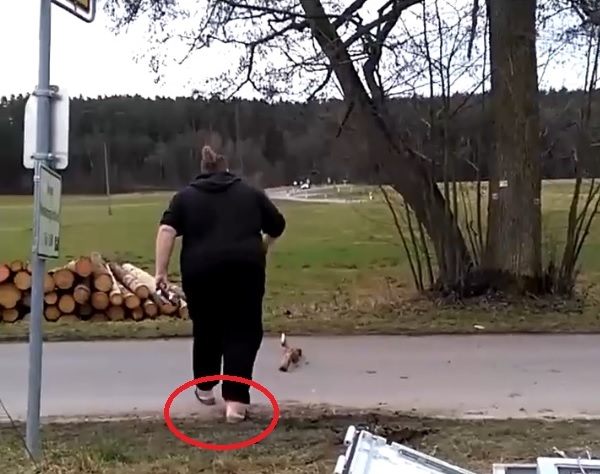 beine.jpg