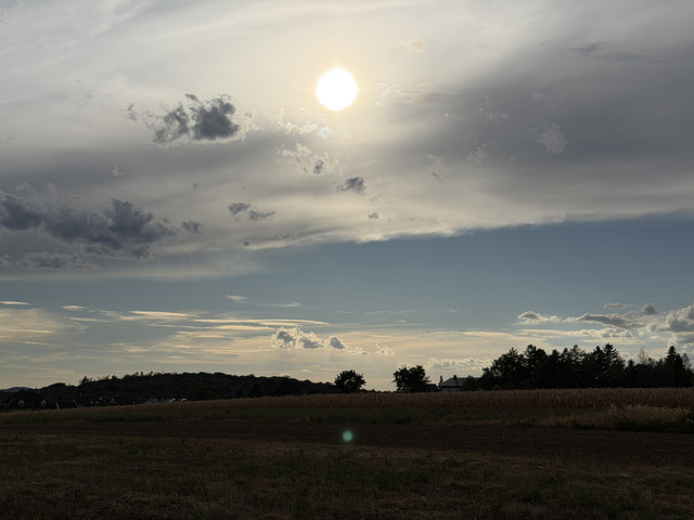 IMG 2734