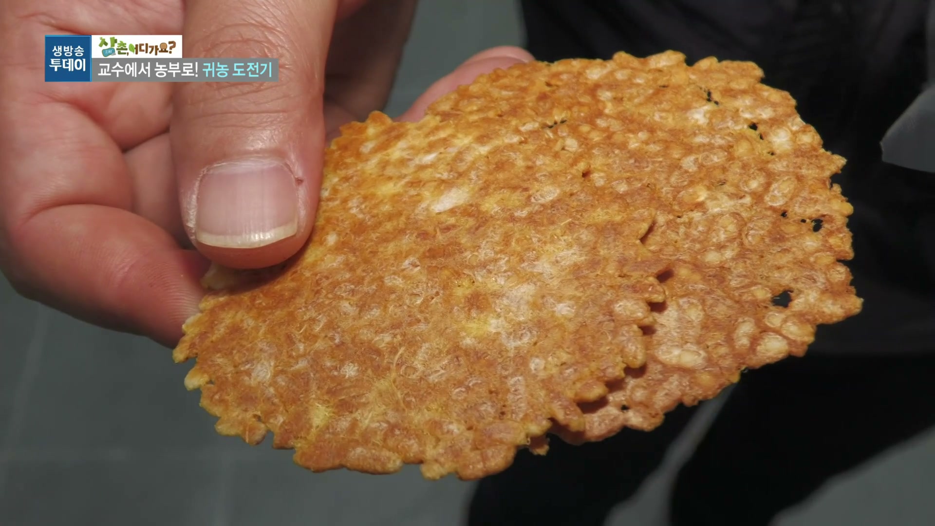 모닝와이드 전원속으로 영암 꿀고구마농장 추가 캡처 4