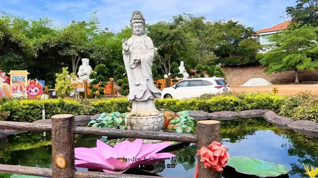 八音盒博物馆12.webp