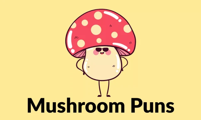 mushroom puns