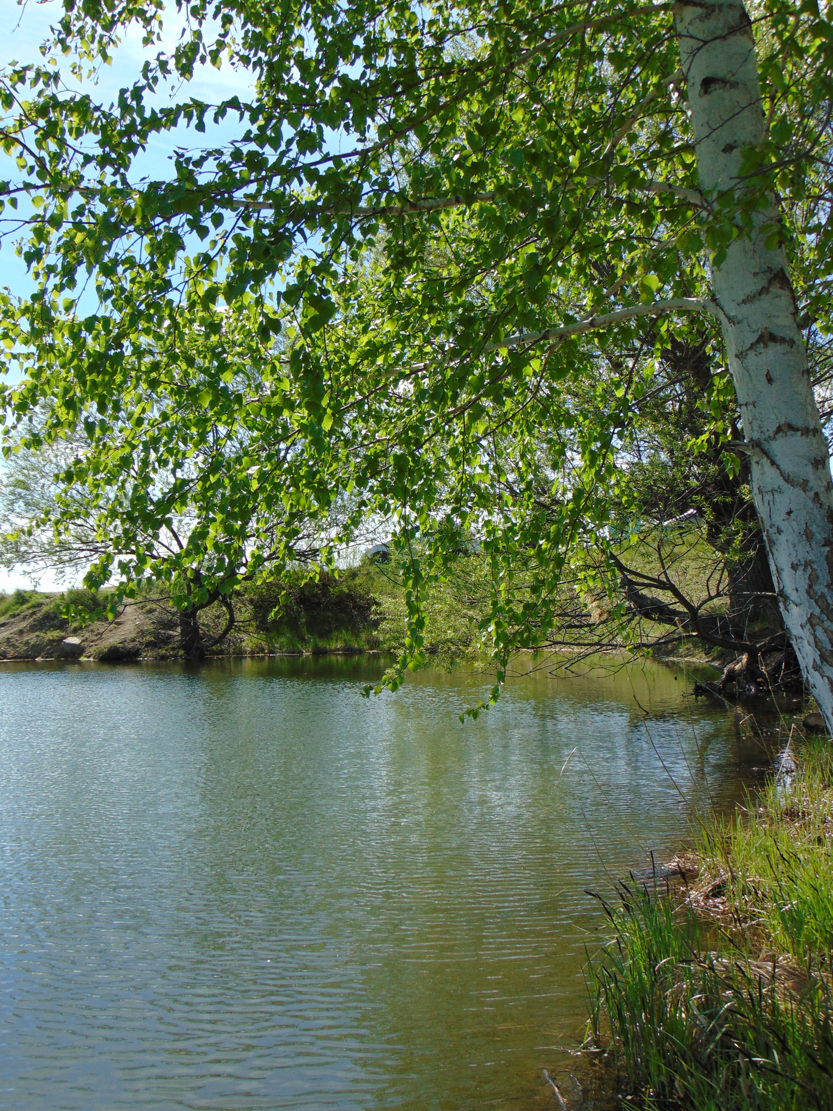 DSC00782.jpg