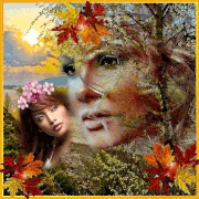 19888876.gif