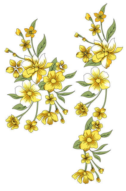 RA 239.png