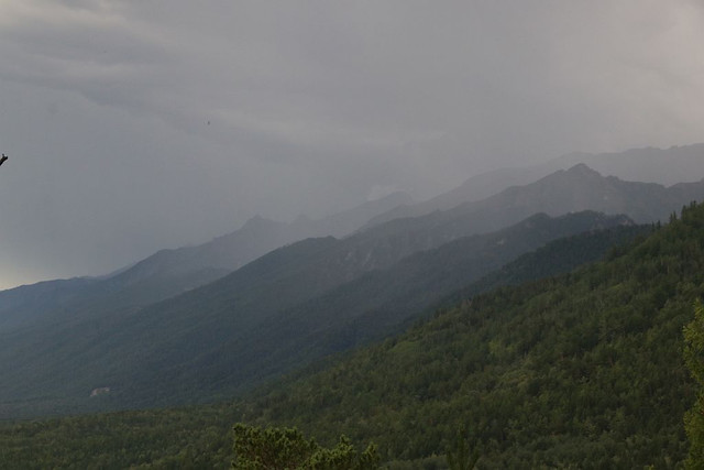IMG 0443.jpg