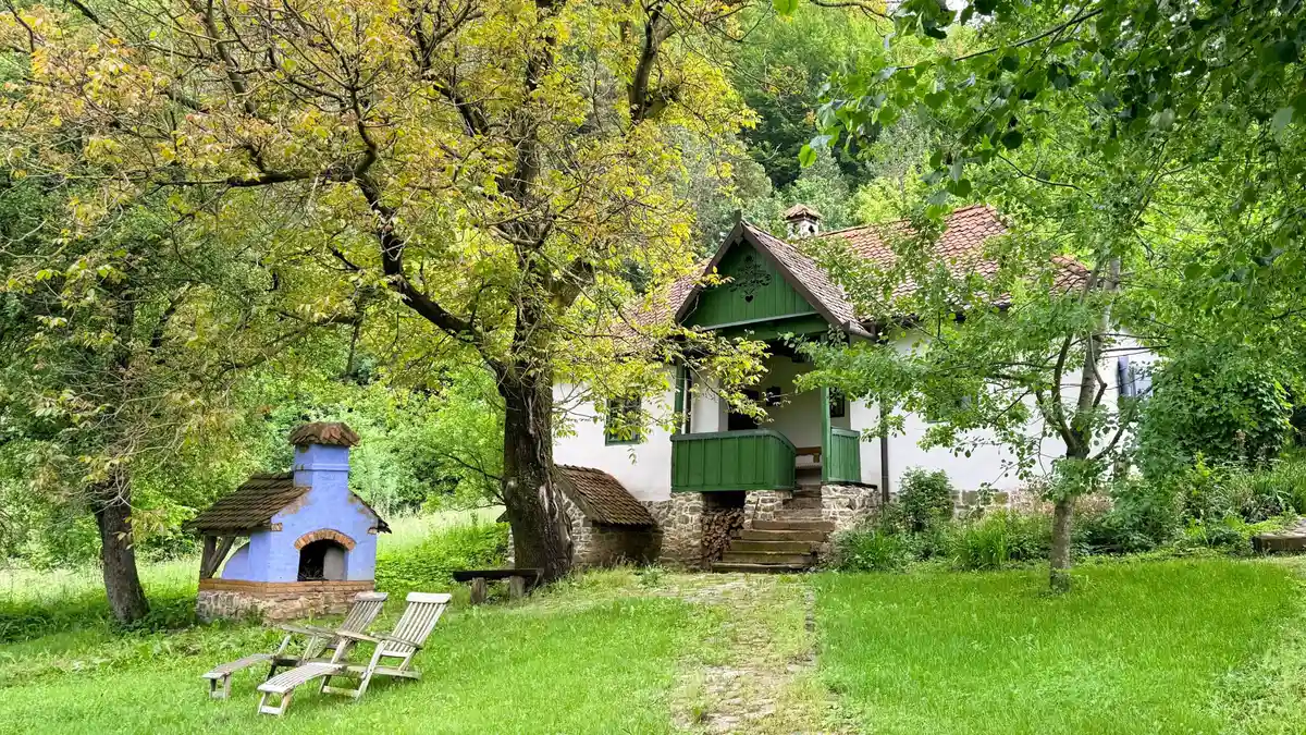 O seară regală în Valea Zălanului, inima Transilvaniei