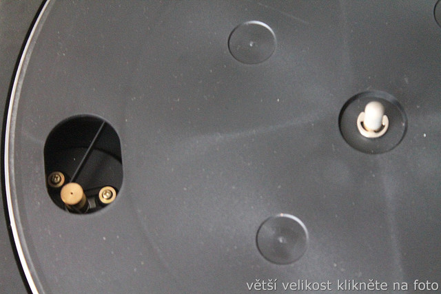 IMG-6437.jpg