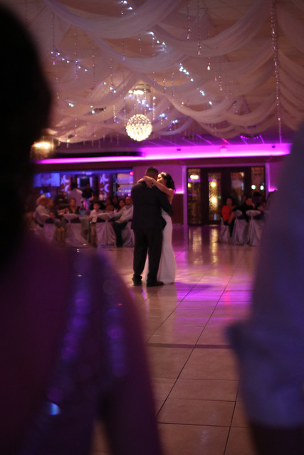 IMG-3556