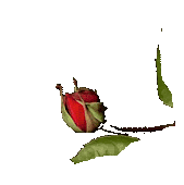 92.gif