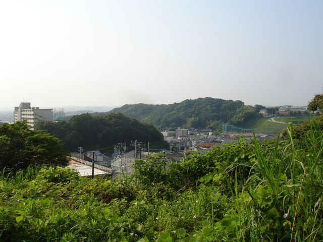 2010-06-12-164