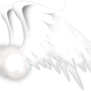 WINGSWHIOTE