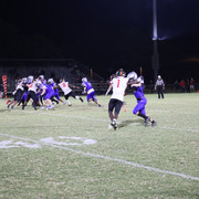 IMG-1310