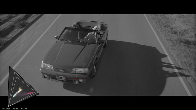 gamut-ROAD0033