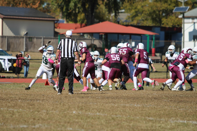 IMG-8074.jpg
