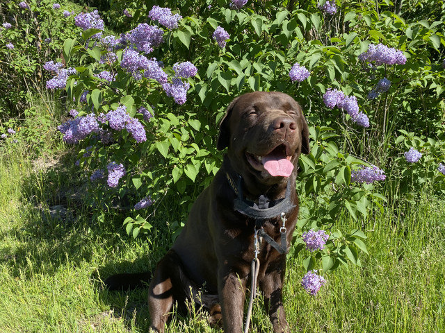 0-EEC876-B-F696-4101-AA89-1-CB153-B6414-