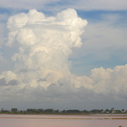 IMG-1948