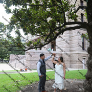 IMG 4229