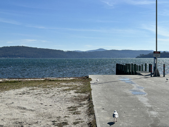 IMG 3059.jpg