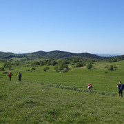 DSC04822