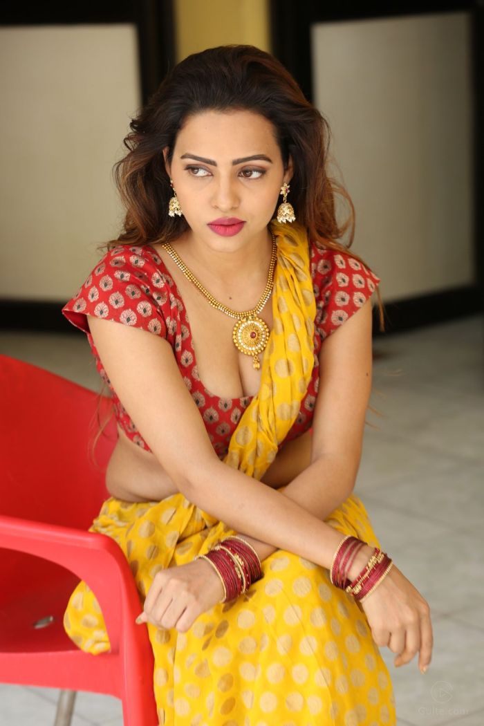 MIL-Geetha-Shah-Hot-Looks-In-Saree-29.jpg