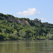 DSC 0793