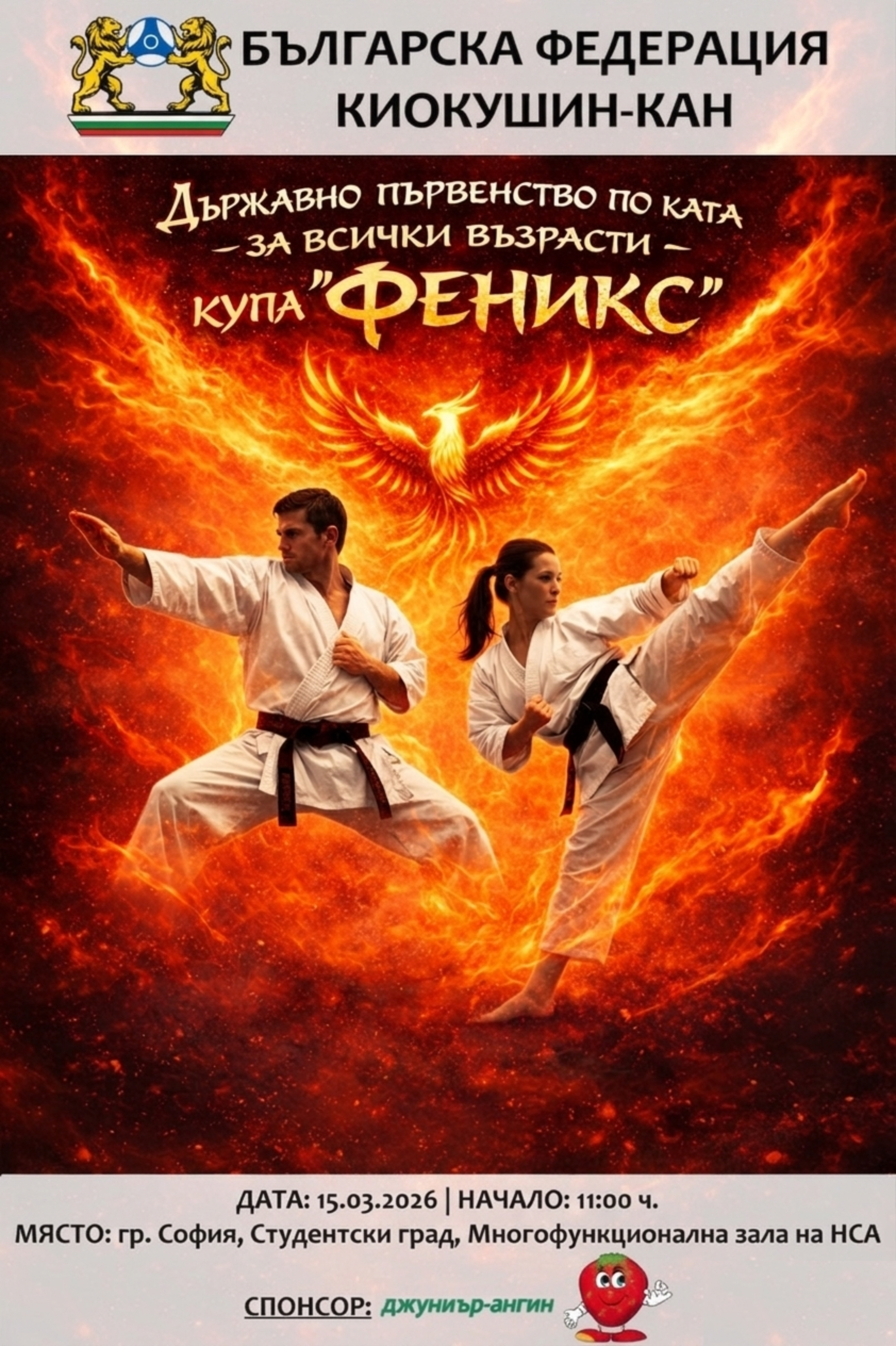 Плакат Купа „Феникс
