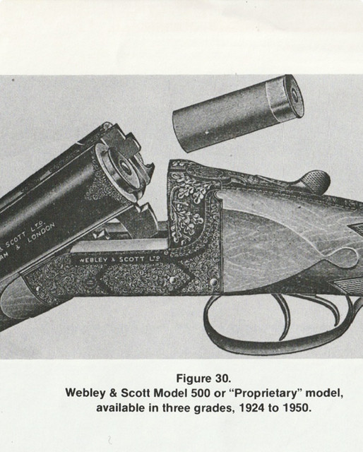 [Linked Image from i.ibb.co]