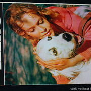 IMG-9973