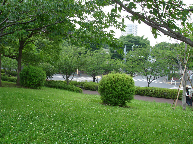 2010-06-25-075.jpg