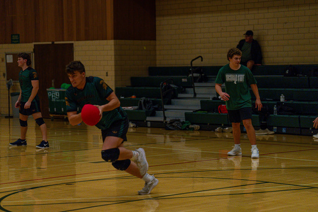 DSC04875.jpg