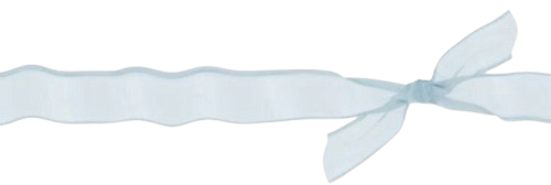 89d30f7f8582eb816f6ca2f7cb77482b removebg preview.png