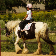 DSC03916