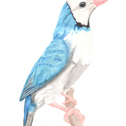 Painting16