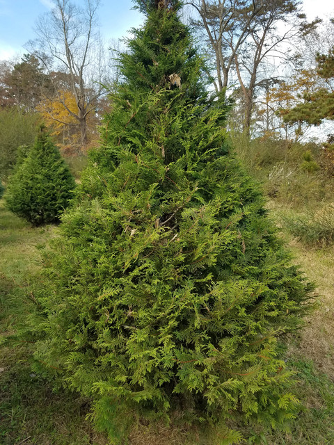 20181118 124241.jpg