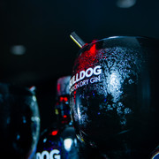 DSC6254
