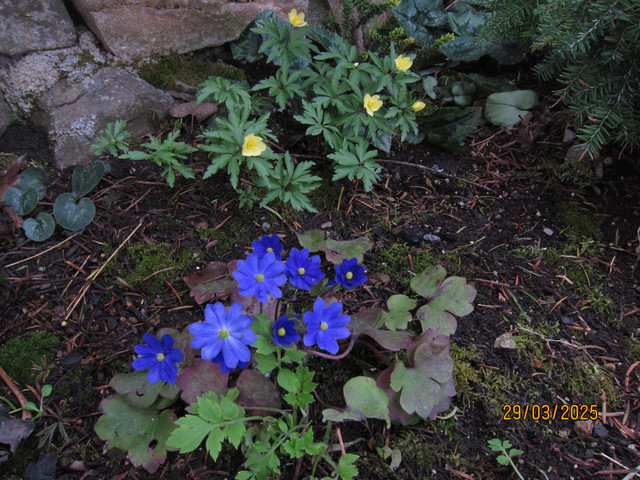 IMG-4768