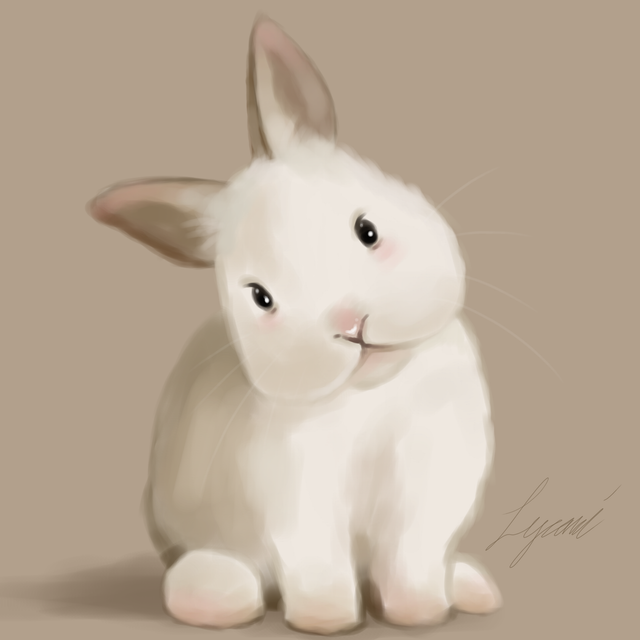 bunny