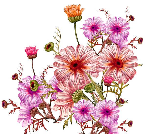 shutterstock 1993456100.jpg