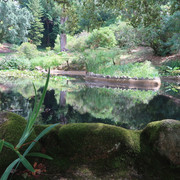 Parque e Palácio de Monserrate (36)