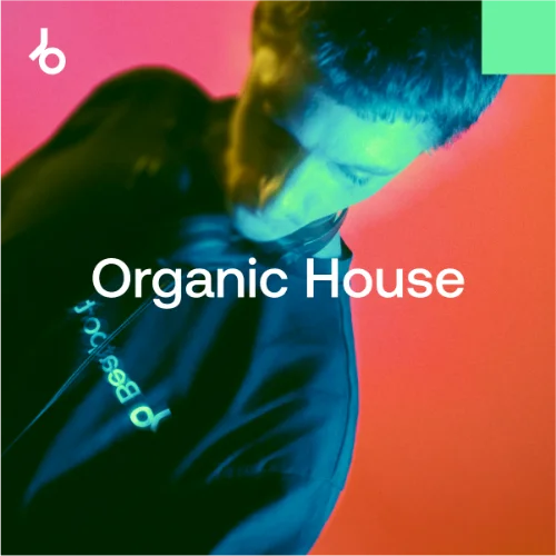 After Hours Essentials 2026 Organic House After Hours Essentials 2026 Organic House