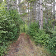 IMG-20220824-193019