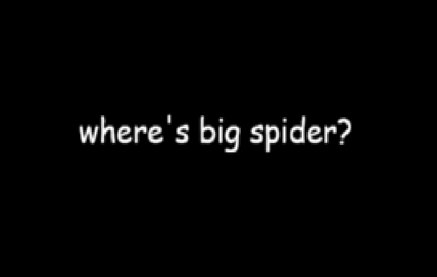 spider