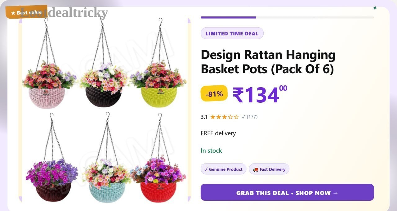 Hanging Basket Pots – Just ₹134 | Top Unbeatable Deal