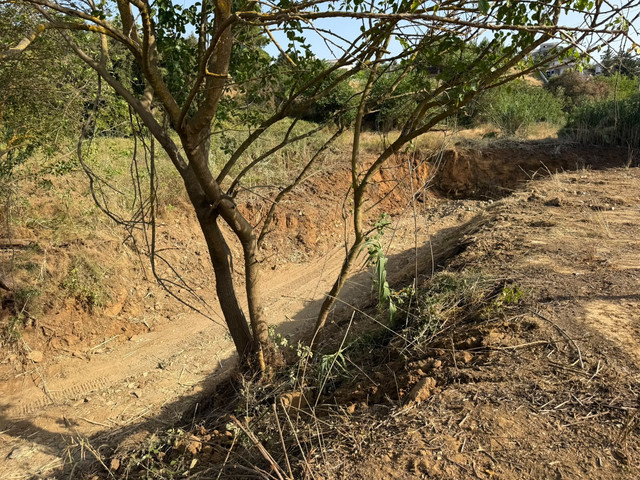image2-5