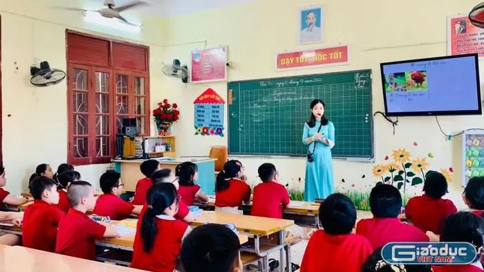 Ảnh minh họa gdvn-la-tien-4681.jpg