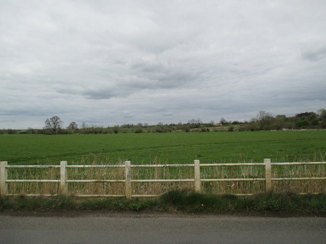 IMG-4076.jpg