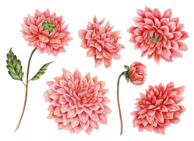 shutterstock 1090984400.jpg
