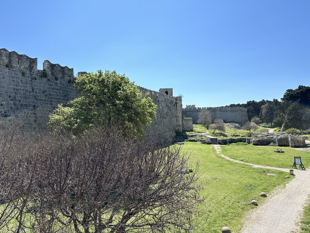 IMG-0008